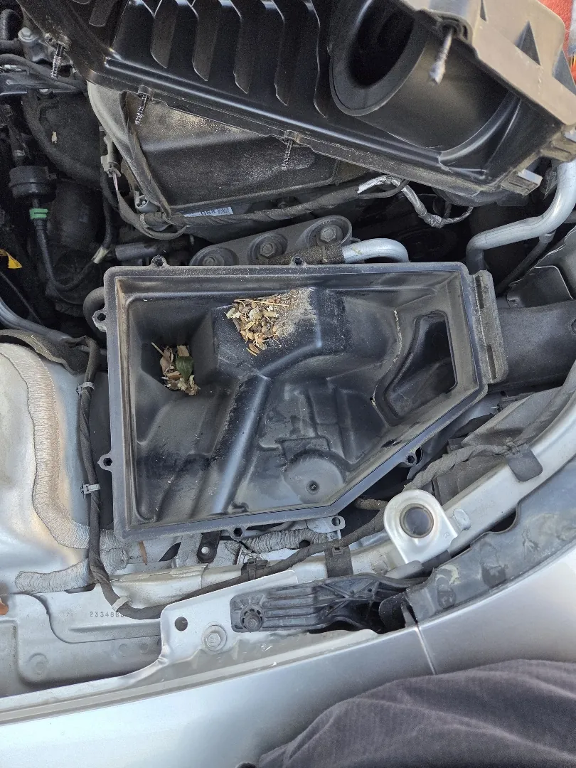 Open air filter housing revealing a dirty engine air filter with leaves and debris on its surface